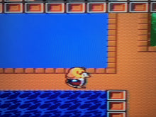 Load image into Gallery viewer, The New Zealand Story *MASTER System*