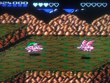 Load image into Gallery viewer, Battletoads